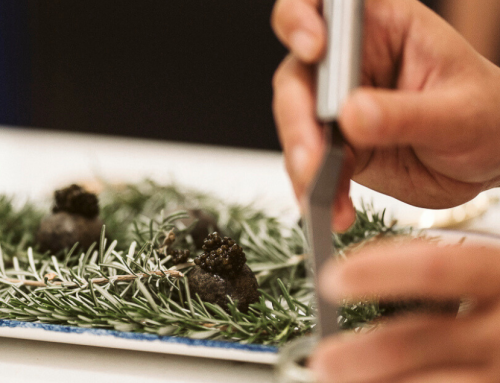 Artistas de lo exquisito