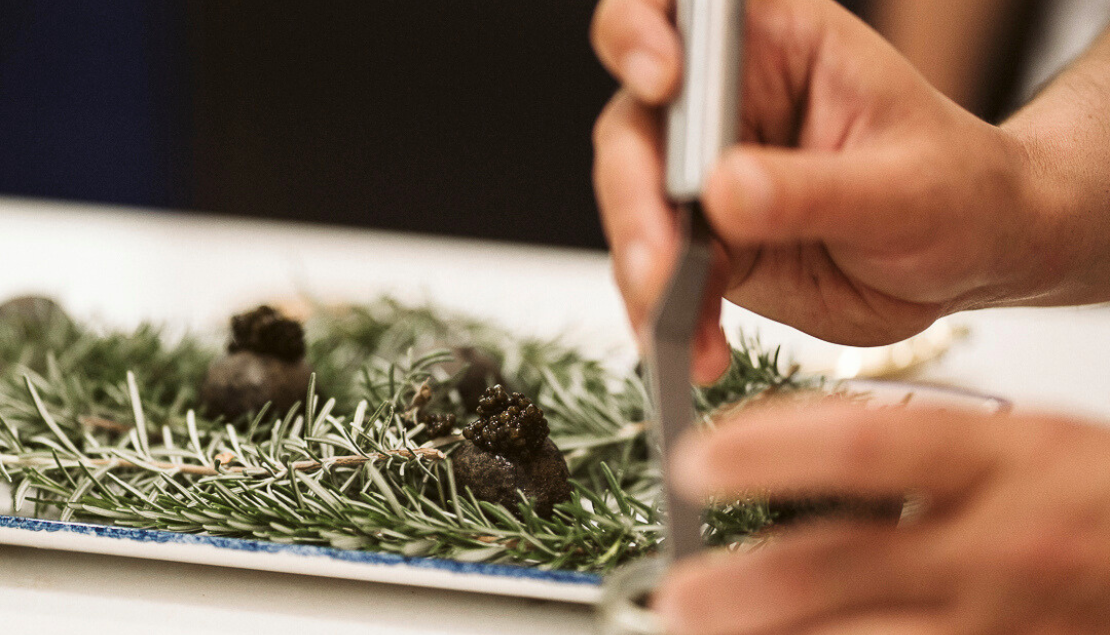 Artistas de lo exquisito - Monbull